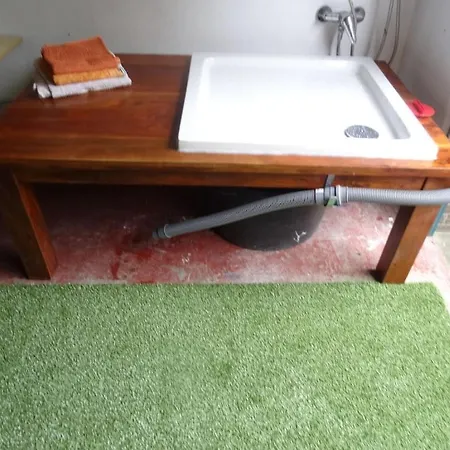 In With Swimming Pool *